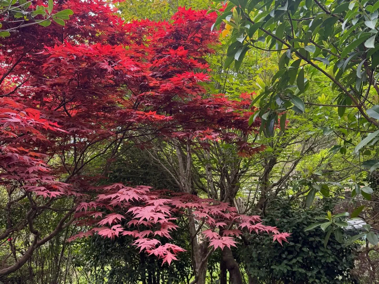 昨年、仕事で移動中に見つけたカフェ「風杜空」